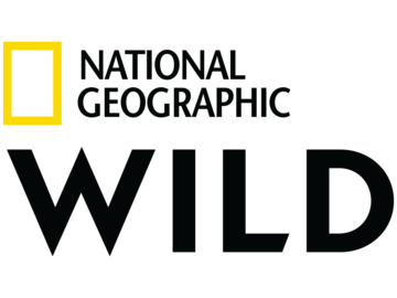 National Geographic Wild Logo 